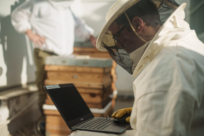 València instala sensores que monitorizan en tiempo real a las colmenas de abejas de Las Naves