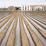 Captura-de-pantalla-2022-12-22-a-las-12.57.53-150x150