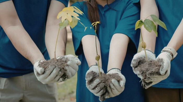 València, elegida por Bloomberg Philanthropies para el programa Youth Climate Action Fund dirigido a la juventud y la acción climática