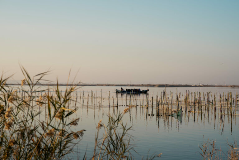 Albufera Valencia